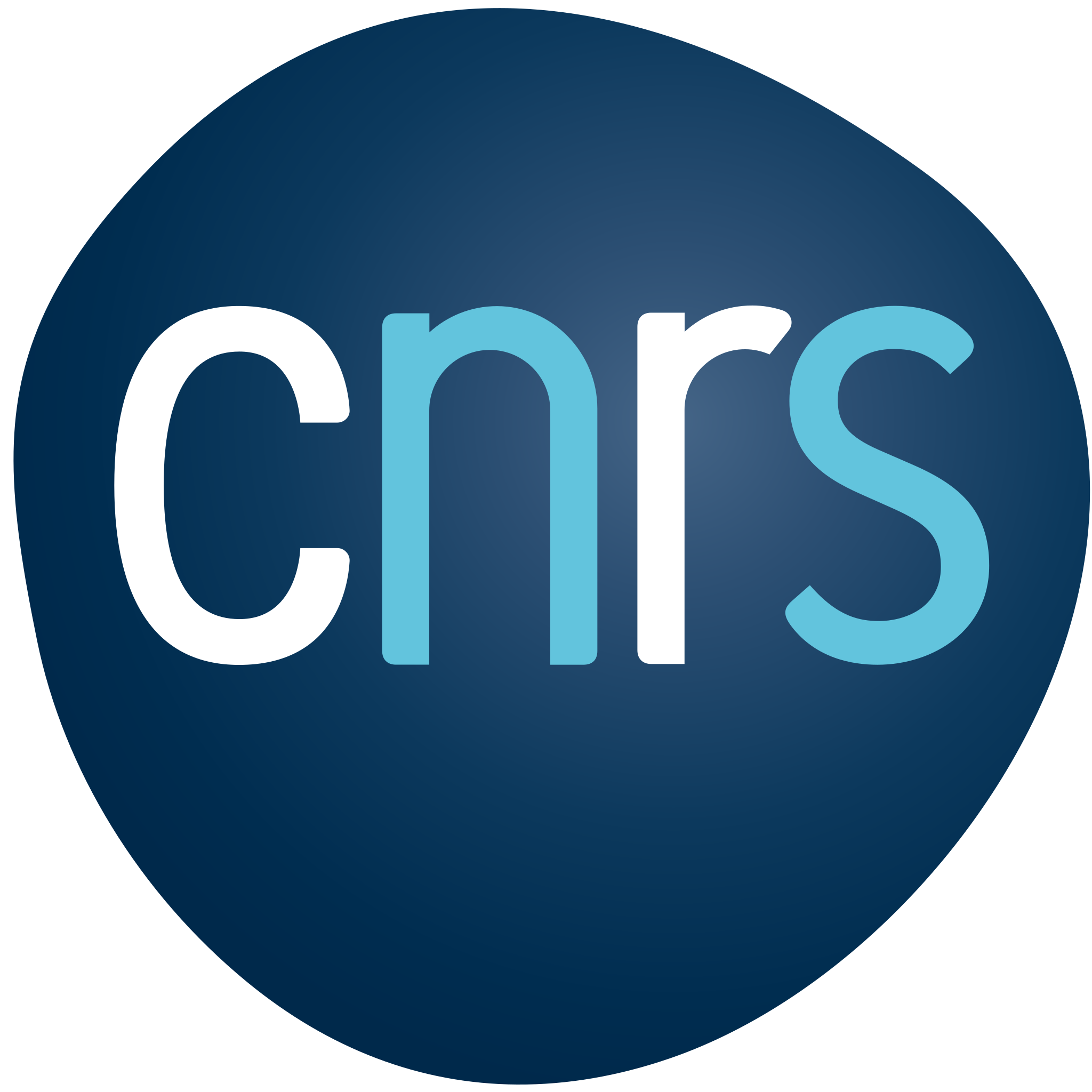 [logoCNRS]